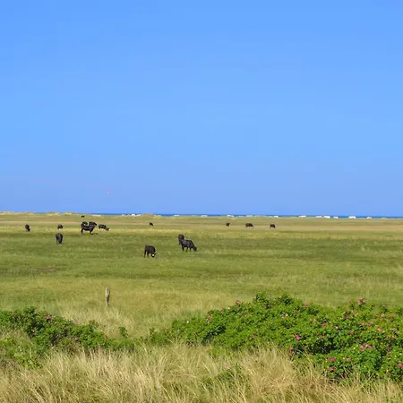 Lennart - 750m From The Sea By Interhome